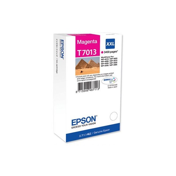 Epson T7013 Original