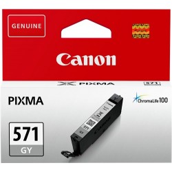 Canon Original Cli-571 Gris