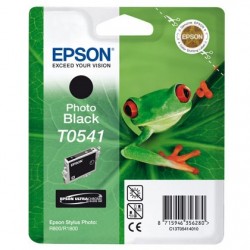 Epson T0541 negro foto,...