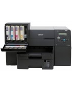 Epson B510DN