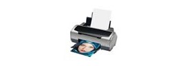 Cartuchos de tinta impresora Epson Stylus Photo R8100