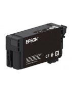 Tinta Epson T40