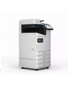 Cartuchos de tinta Epson WorkForce Enterprise AM-C4000